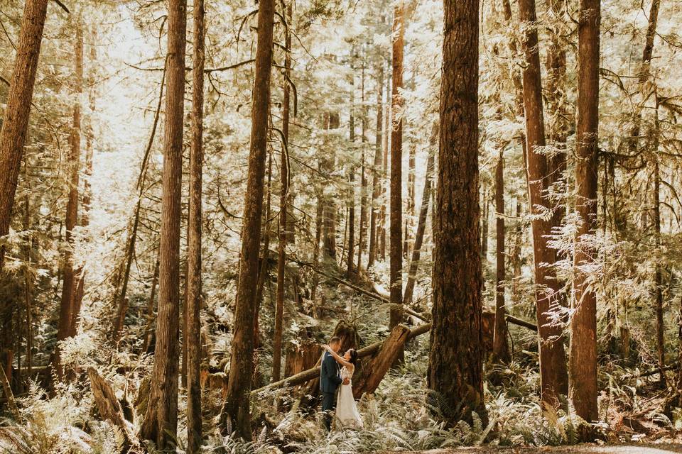 August Wedding Forest Trail