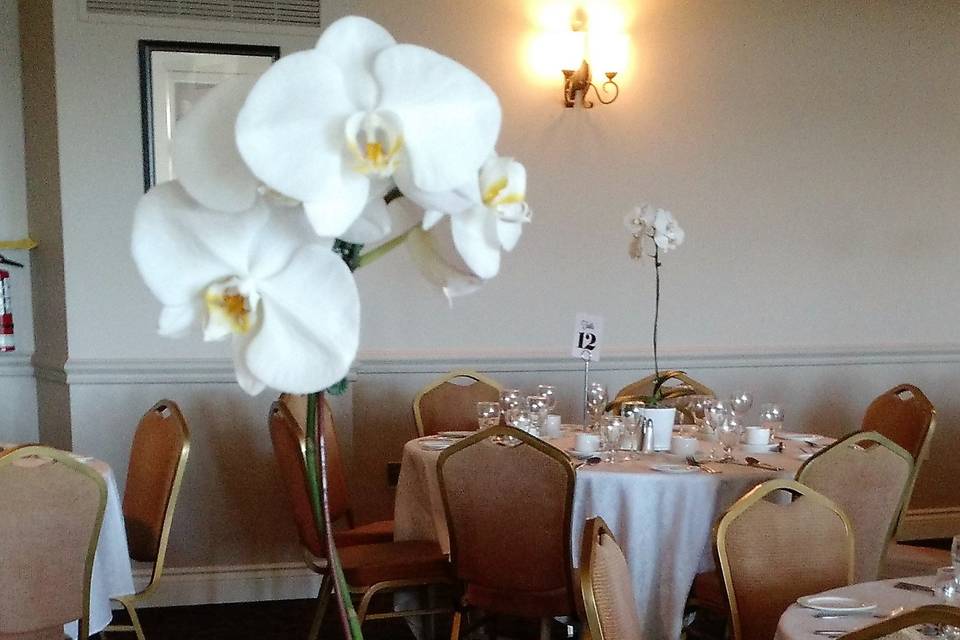 Hydrangea and Carnations