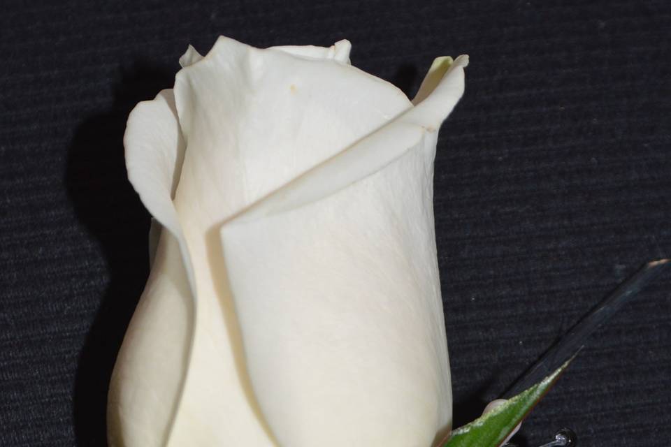 Boutonniere