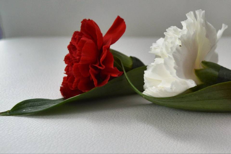 Carnation Boutonnieres