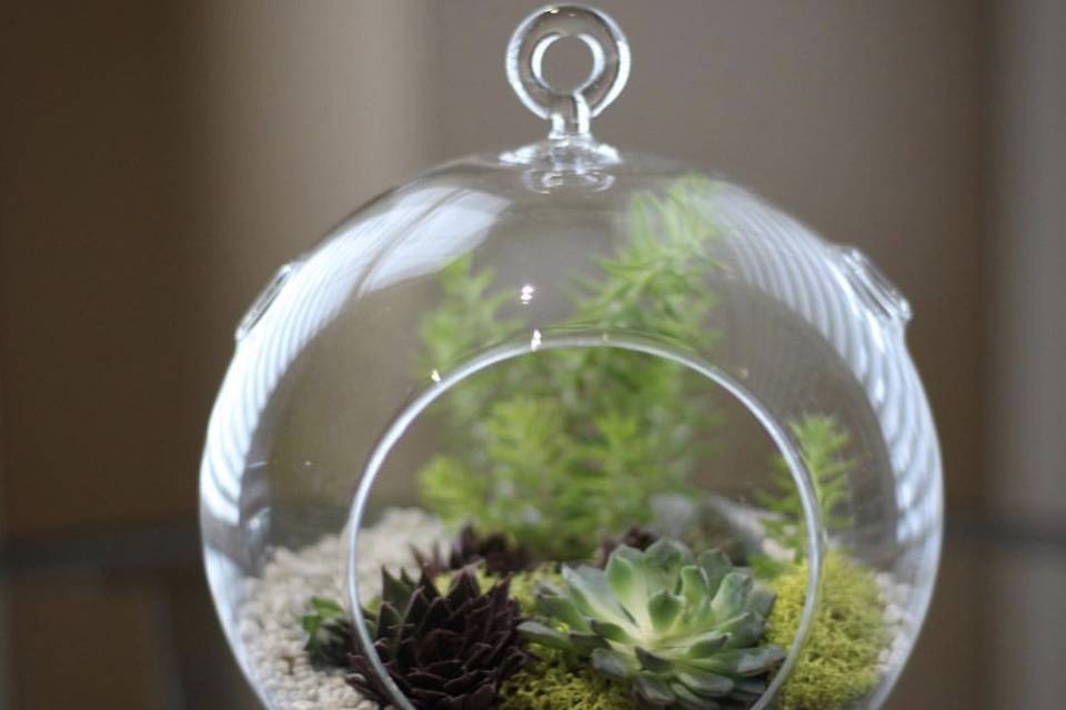 Terrarium tea pot