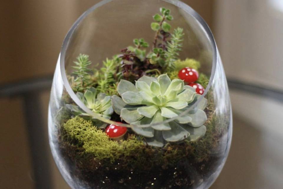 Terrarium