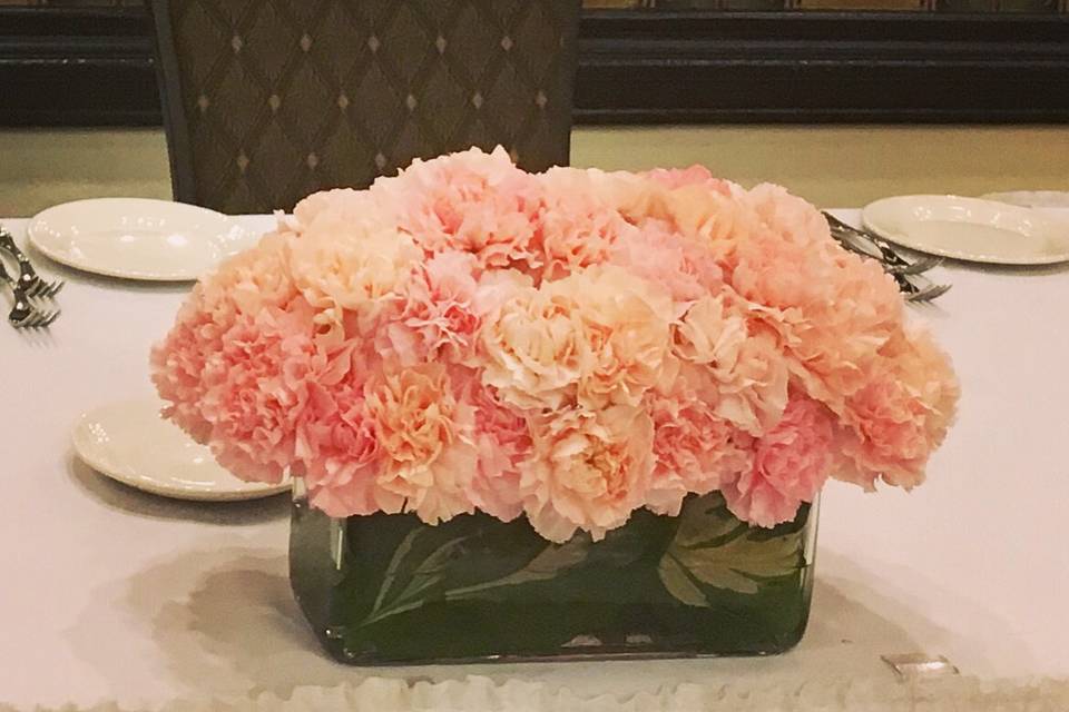 Carnations