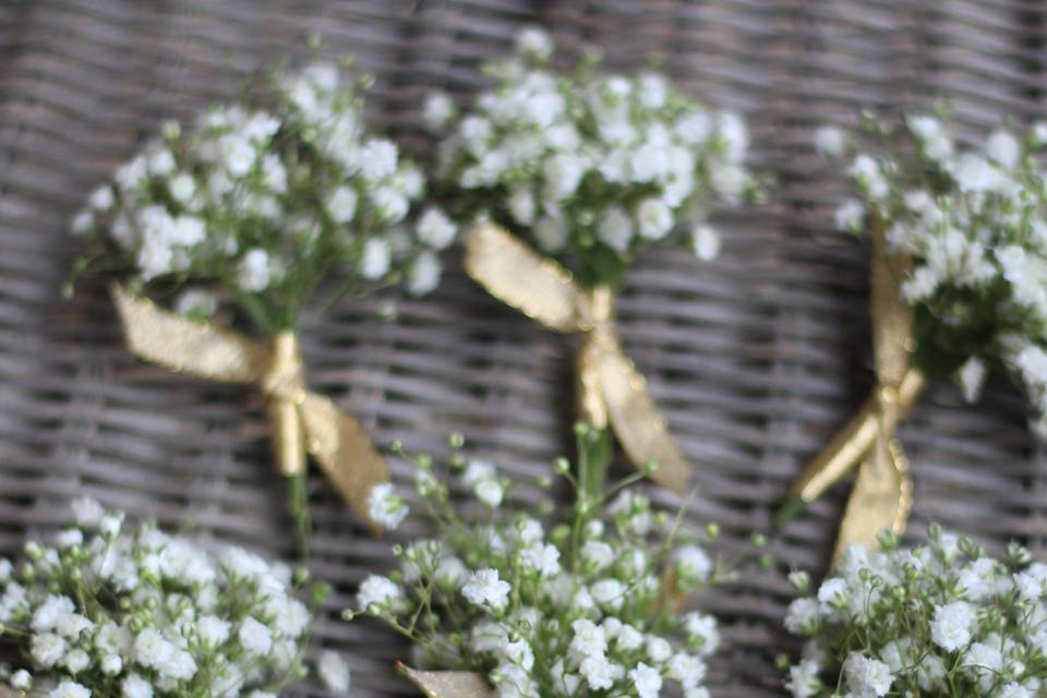 Babys breath