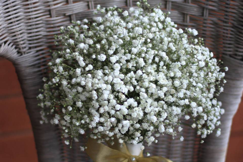 Babys breath