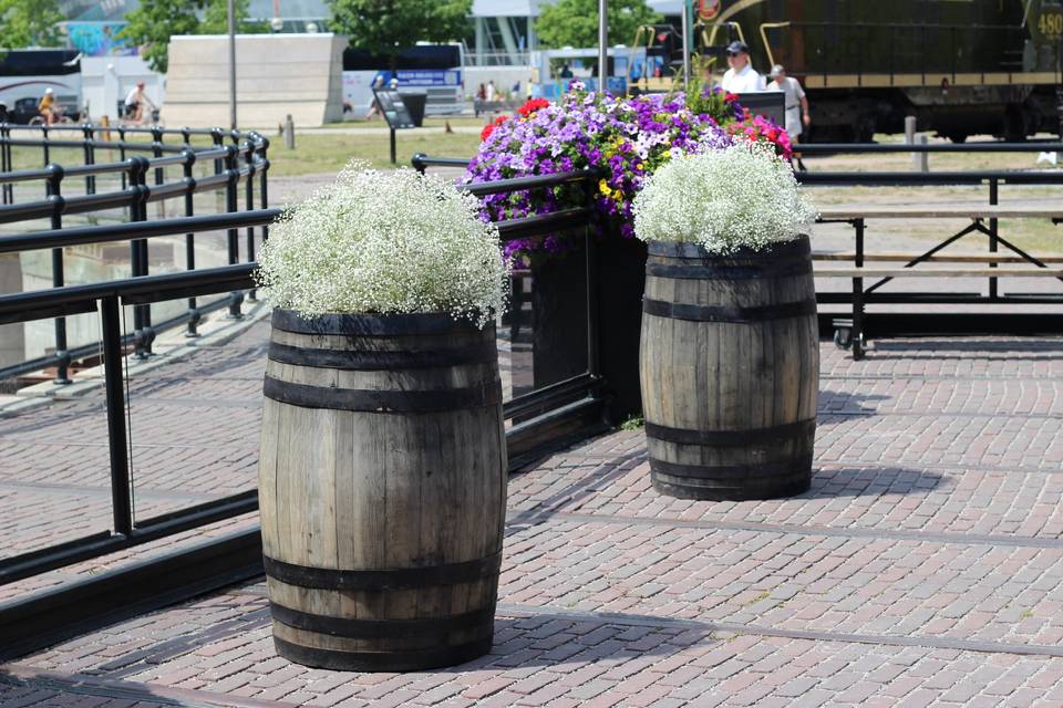 Wine barrels