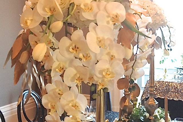 Golden orchids