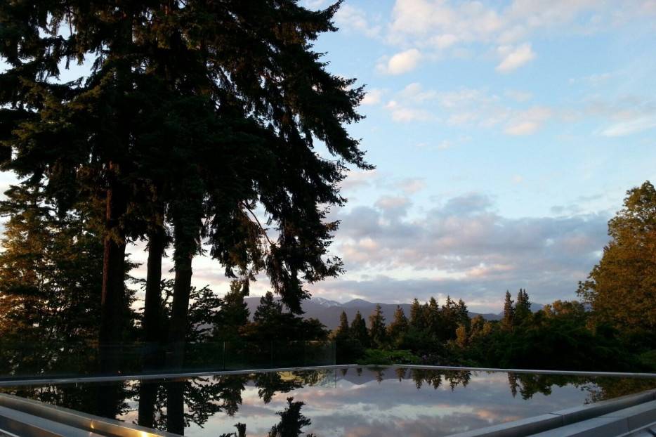 Infinity Pool - Upper Patio