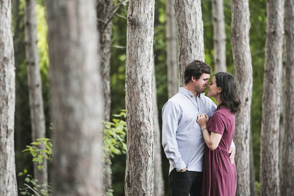 Forest engagement
