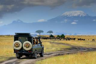 East Africa Wild Adventures 1