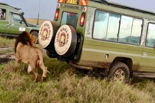 East Africa Wild Adventures 2