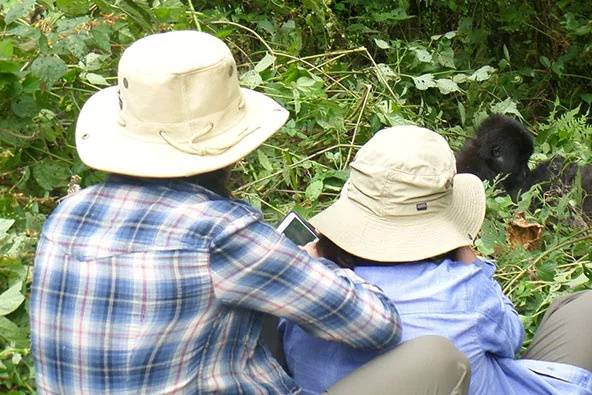 Gorilla trekking in Uganda