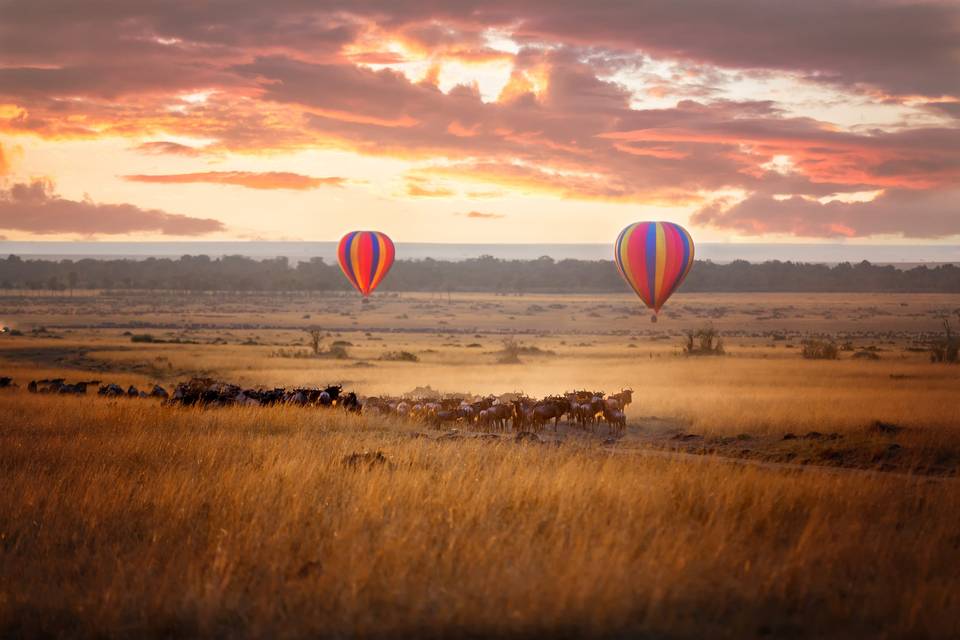 Romantic hot air balloon