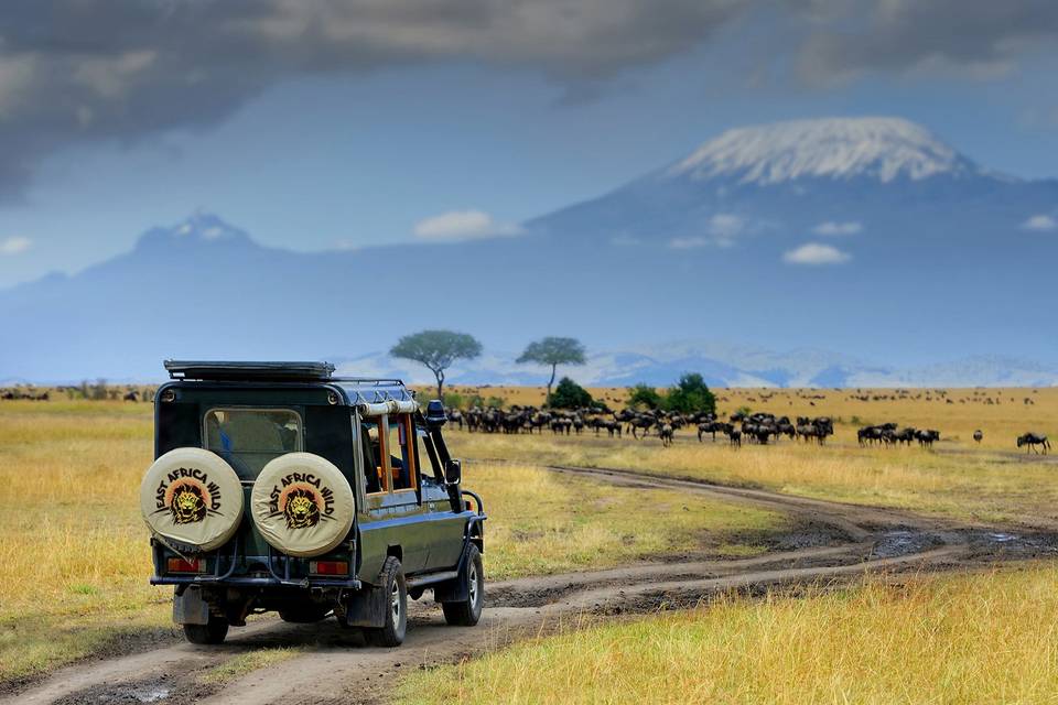 East Africa Wild Adventures