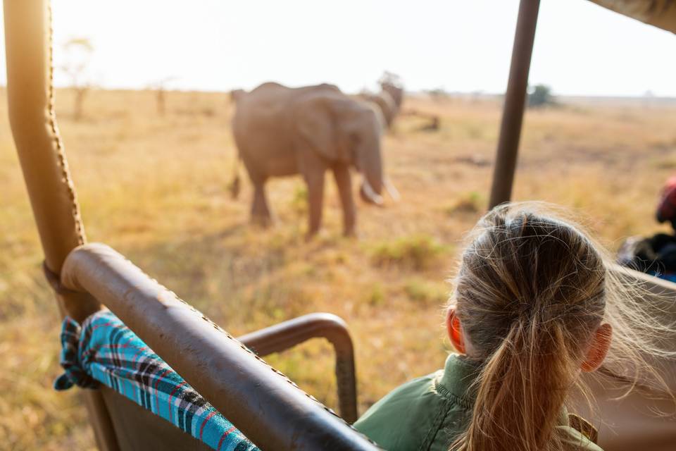 Life changing game drives