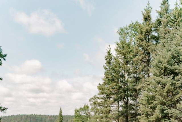 Wedding Photography Portraits