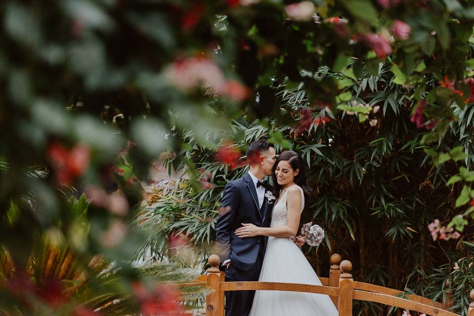 Bride and Groom