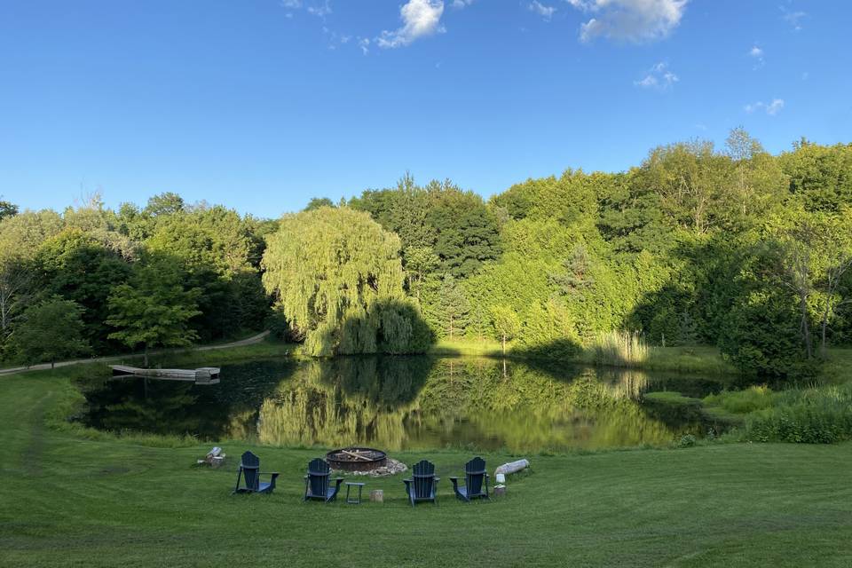 Pond view- summer