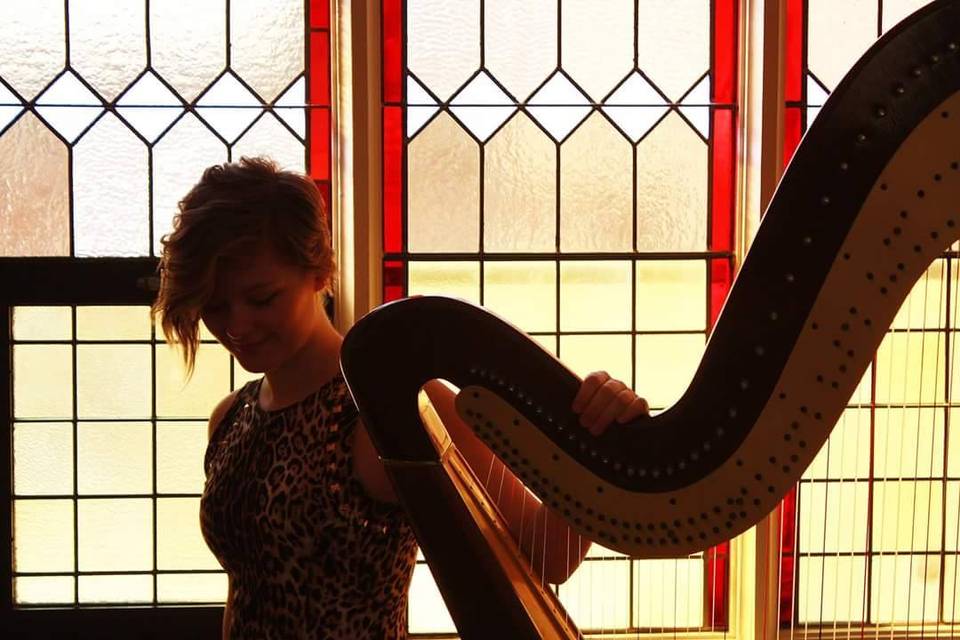 Rose Soenen - Harpist