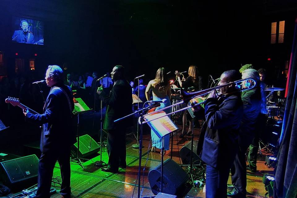 The Michael Vieira Band