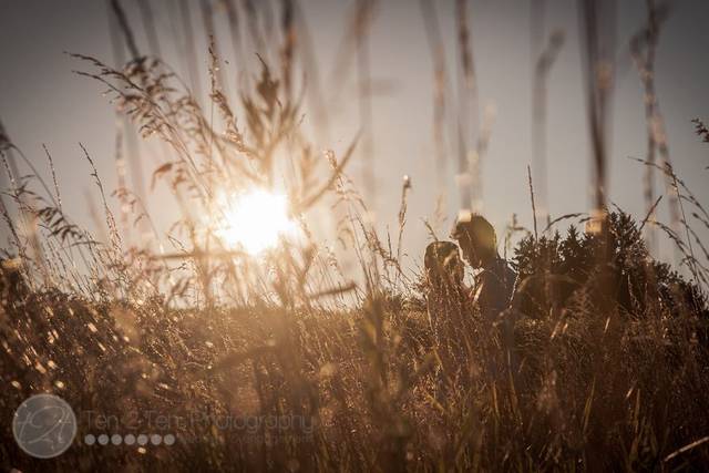 North York, Ontario wedding photographer