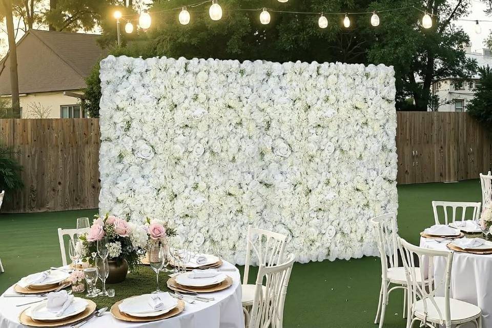 Backdrop