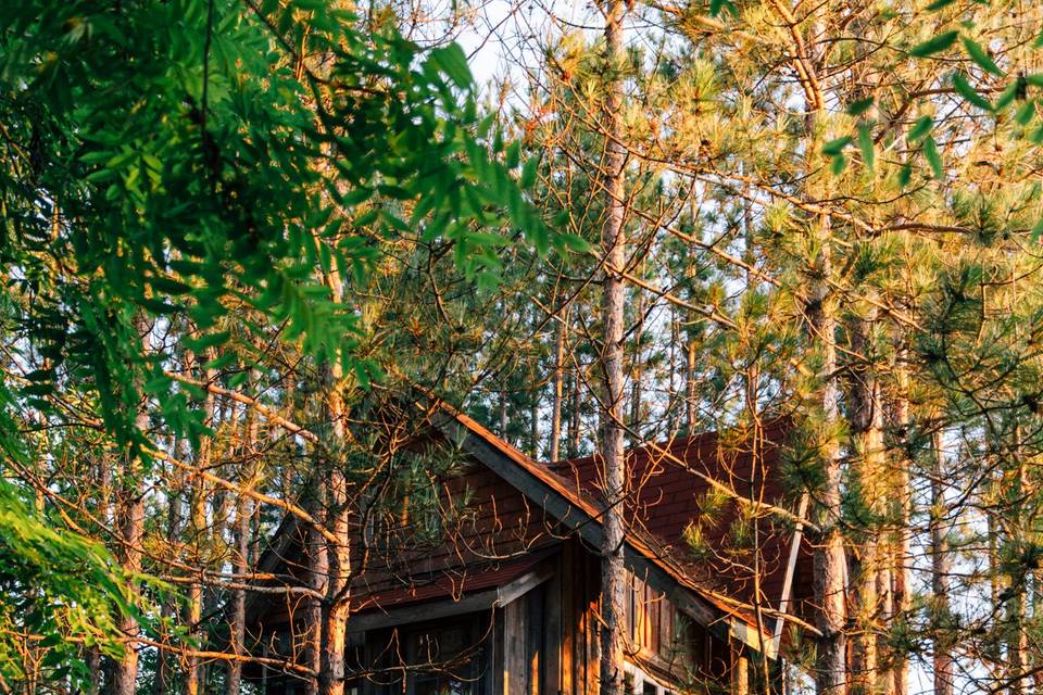 TREEHOUSE WEDDINGS