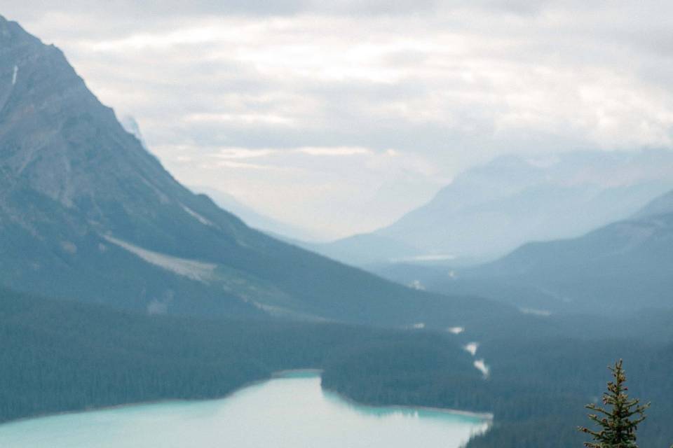 Peyto Lake Wedding Photos