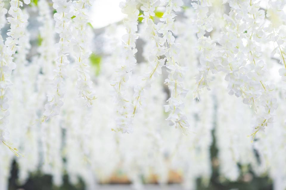 Hanging wisteria