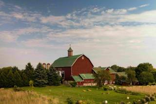 The Eddie Hotel & Farm