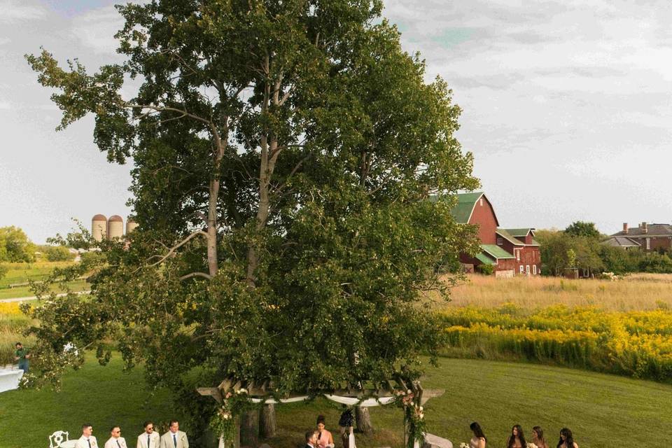Onsite Ceremony Prince Edward