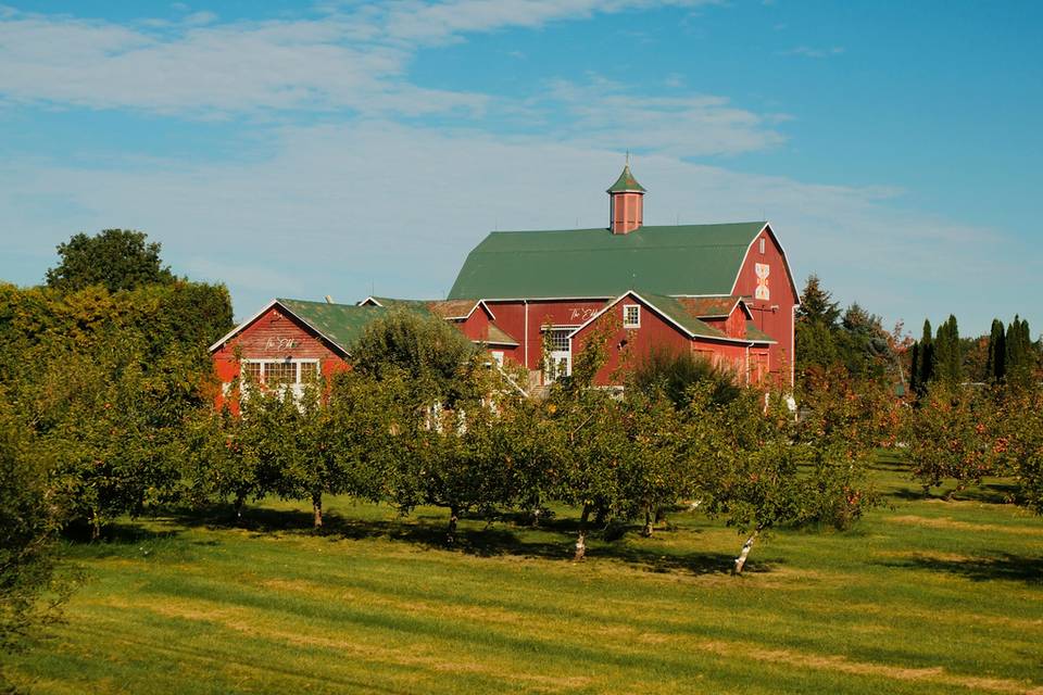 The Eddie PEC- Wedding venue