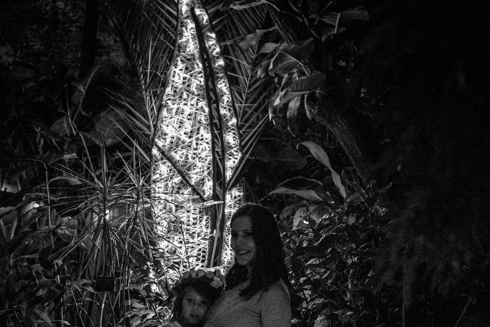 Bloedel Conservatory Elopement