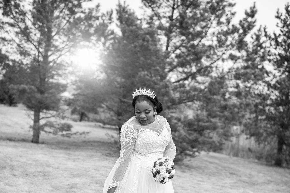 Stunning Bride