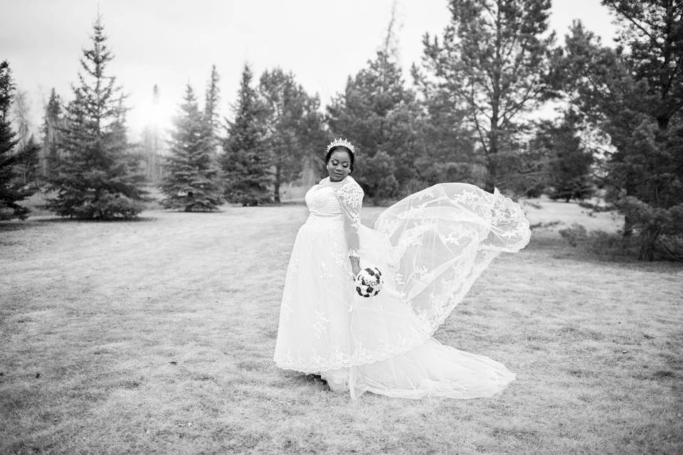 Beautiful Bride