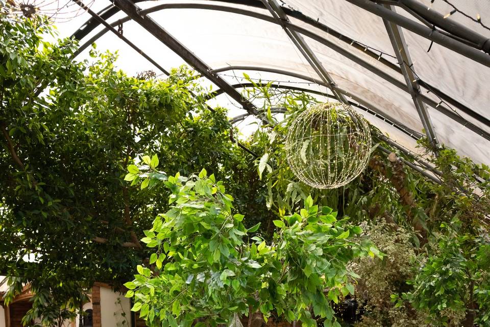 Madison Greenhouse