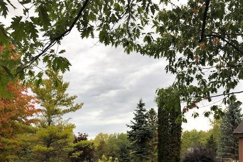 Gazebo area fall