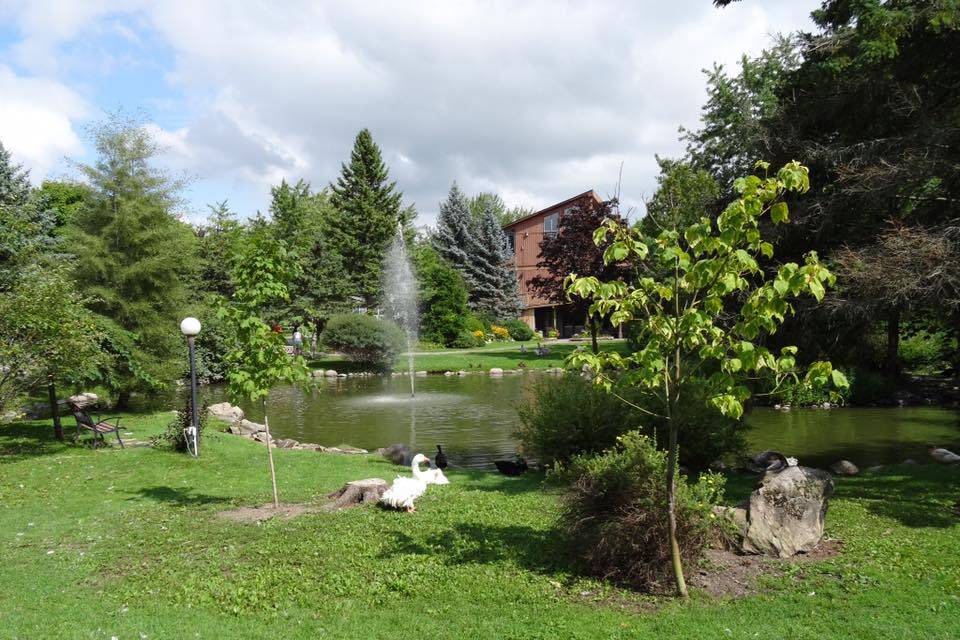 The pond looking at the hall