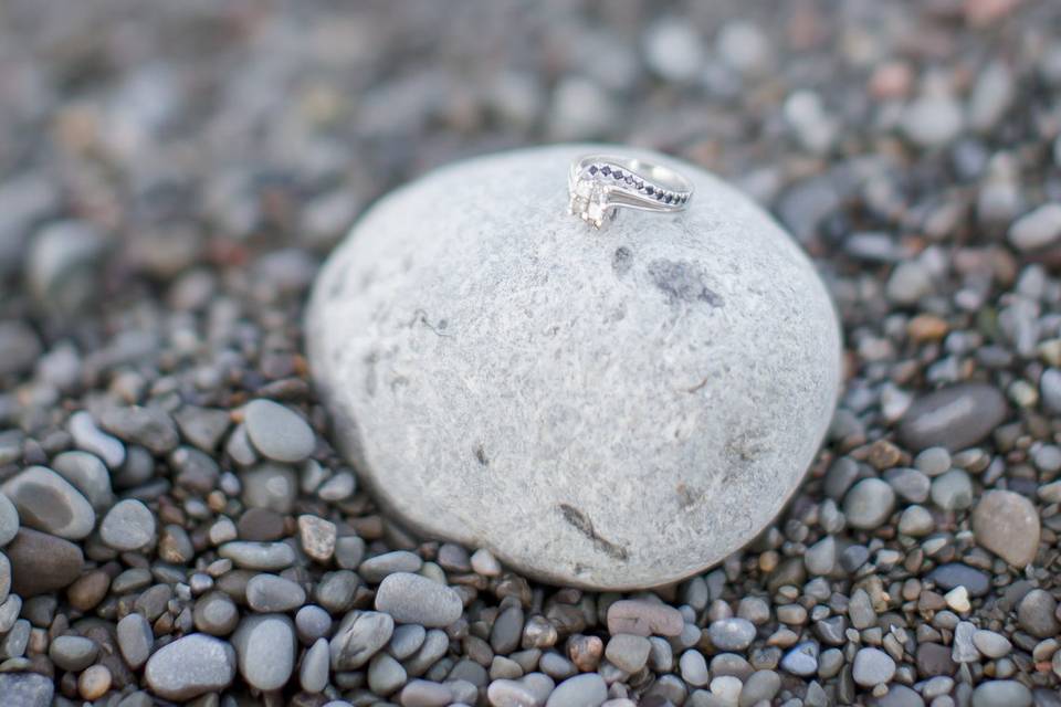 Hamilton Beach Engagement