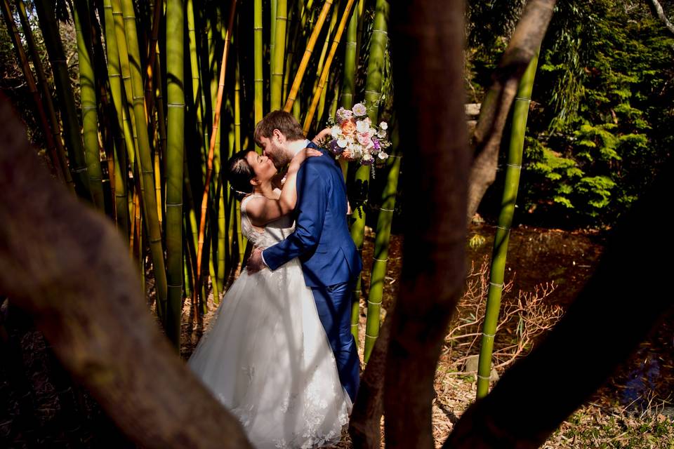 Couples photos among bamboo