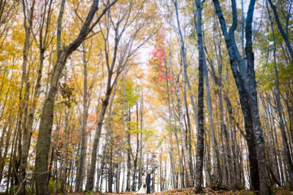 Autumn Wedding