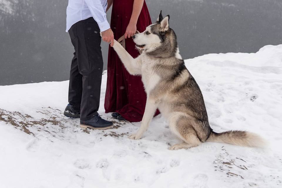 Couple with their dog