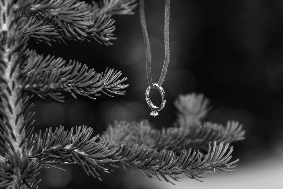 Mountain engagement photos