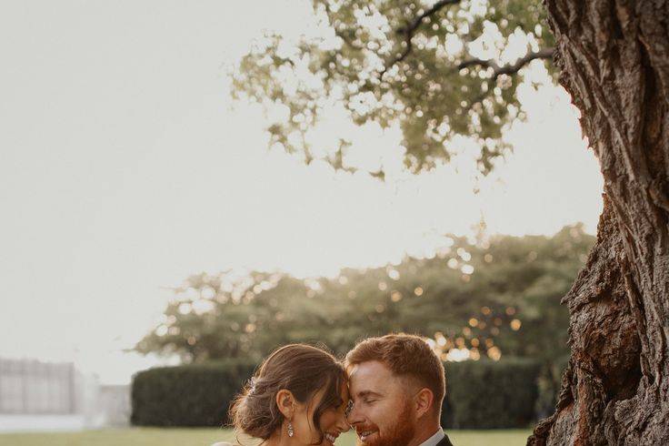 Beneath the oak tree