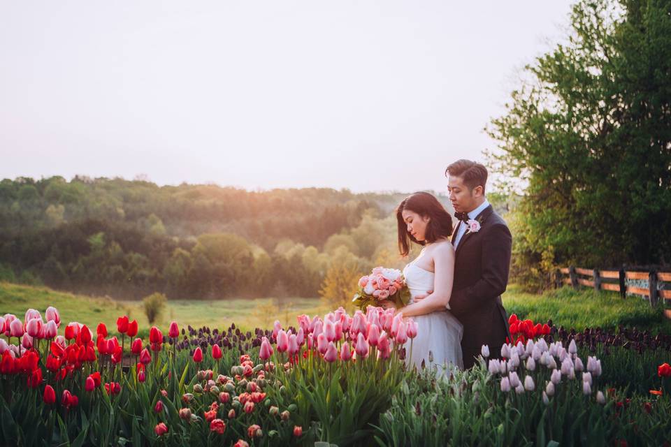 Country Cut Flowers