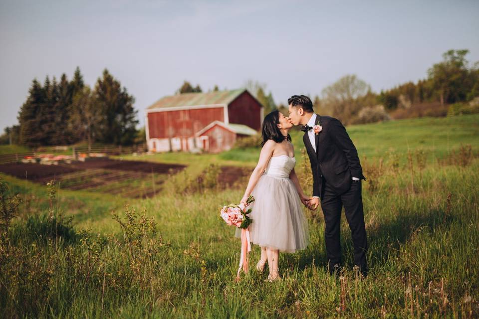 Country Cut Flowers