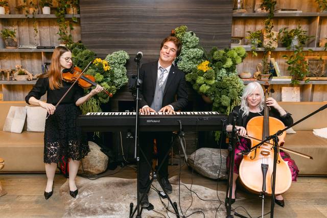 Live Trio