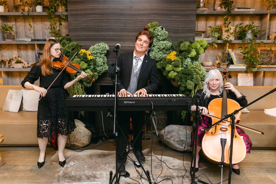 Live Trio