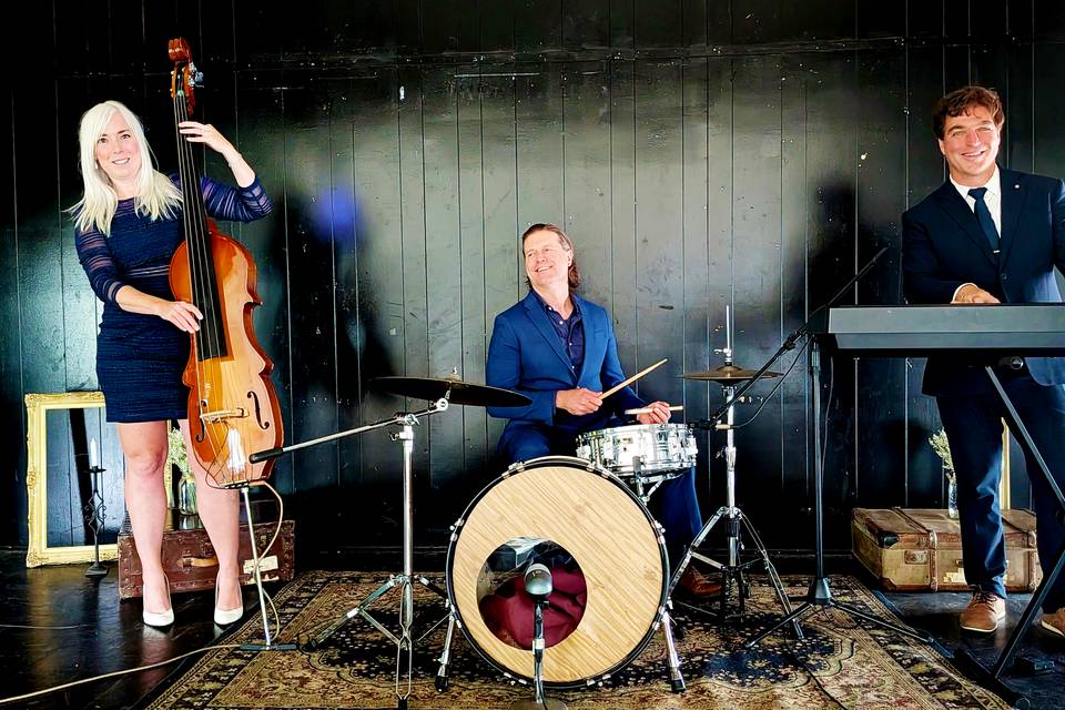 Live Trio