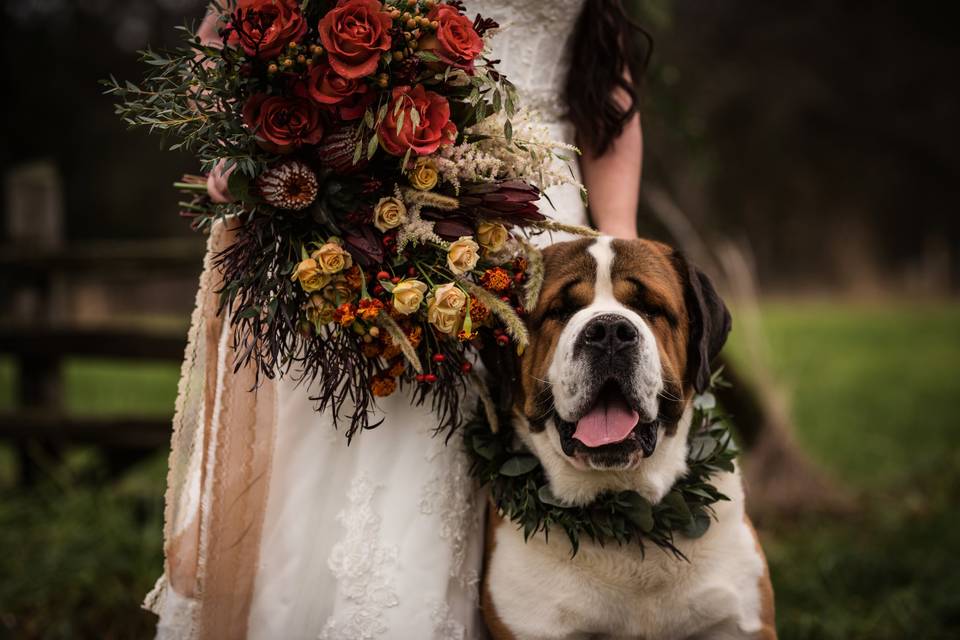 Fred and flowers